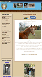 Mobile Screenshot of luckyhorse.org
